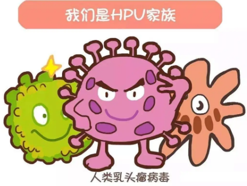 spv是什么病毒?HPV病毒,人乳头瘤病毒